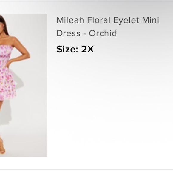 Fashion Nove plus size dress - Picture 2 of 2